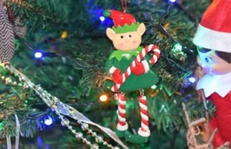 It’s a good job Ed remembers to do elf on the shelf… just found him lurking in the tree here…