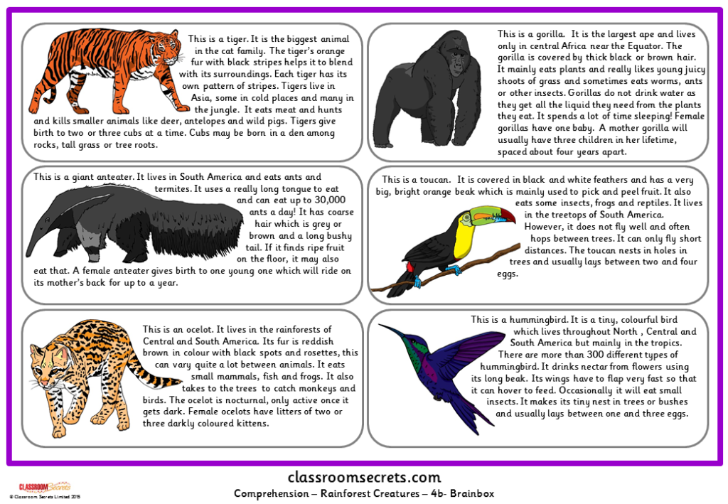 KS2 Fact Files Resources & Worksheets | Classroom Secrets