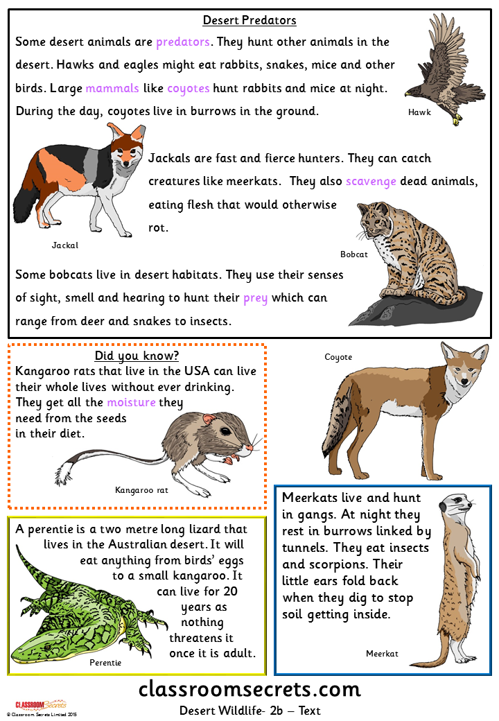 Desert Wildlife (Y1m/Y2s/Y3e) Guided Reading Pack – Classroom Secrets |  Classroom Secrets