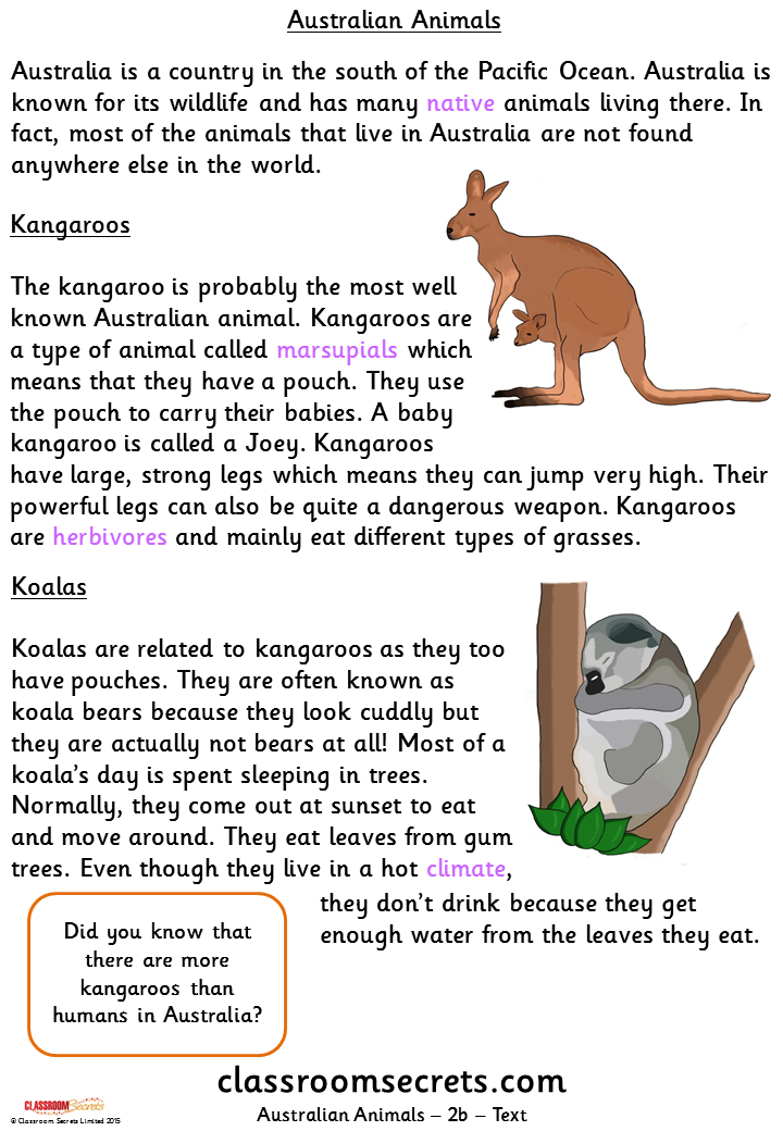Australian Animals (Gold) Guided Reading Pack | Classroom Secrets