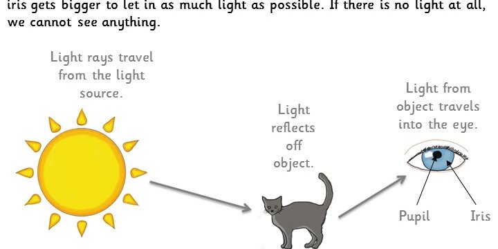 Light and How We See (Gold) Guided Reading Pack | Classroom Secrets
