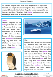 examples of a non chronological report for year 6