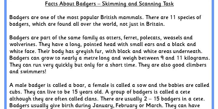 Facts About Badgers Skimming and Scanning Task | Classroom Secrets