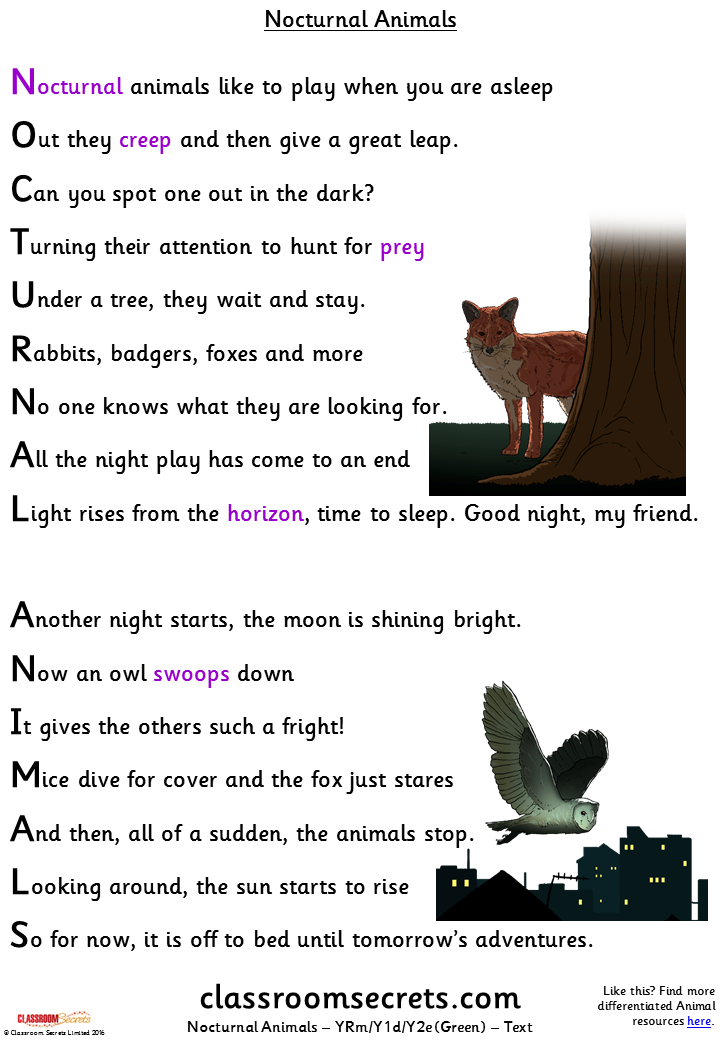 Nocturnal Animals (YRm/Y1d/Y2e) Guided Reading Pack – Classroom Secrets