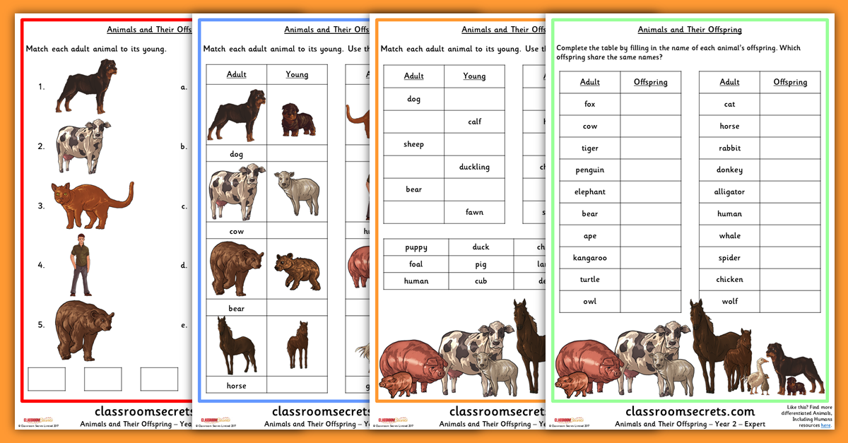 year 2 science animals and their young worksheets classroom secrets