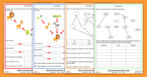 Year 4 Food Chains Resources