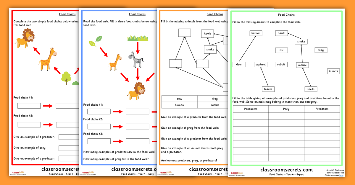 year 4 food chains and food webs science worksheets classroom secrets