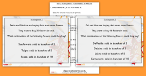 Combinations of Amounts Investigation Year 2 Investigation Resources