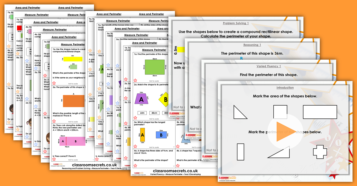 Mixed Age Year 5 and 6 Perimeter and Area Step 2 Resources