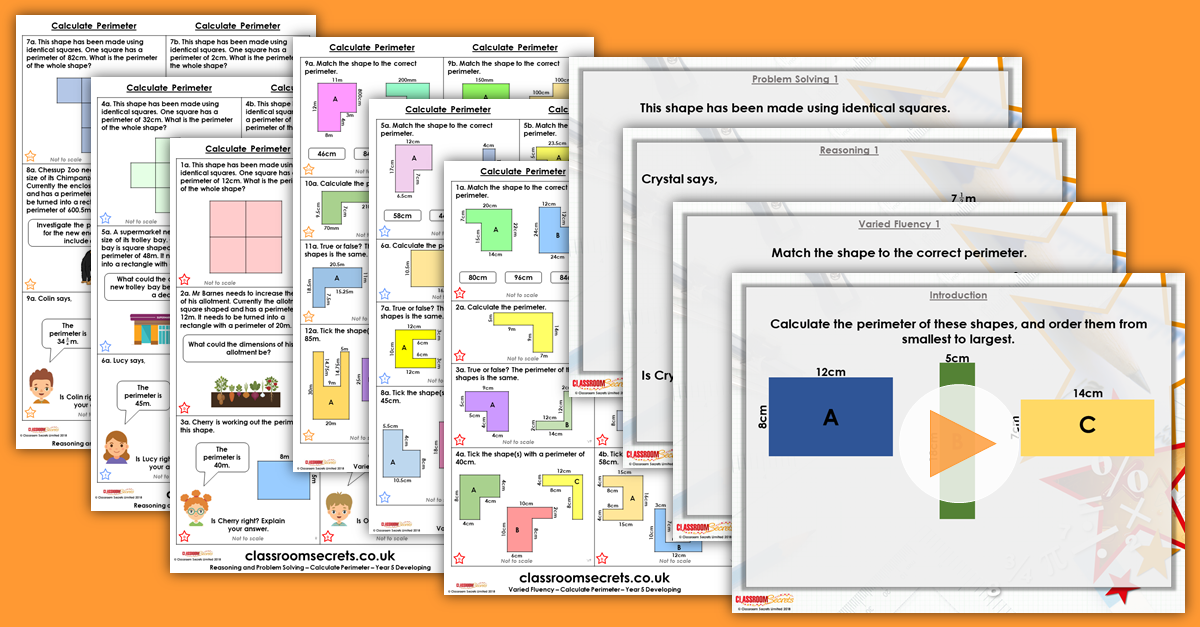 Mixed Age Year 5 and 6 Perimeter and Area Step 3 Resource Pack