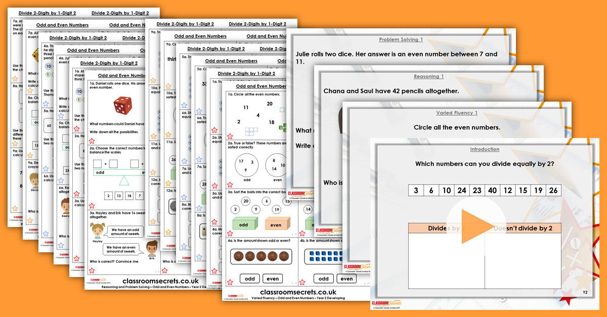 Year 2 and 3 Mixed Age Multiplication and Division Step 6 Resources