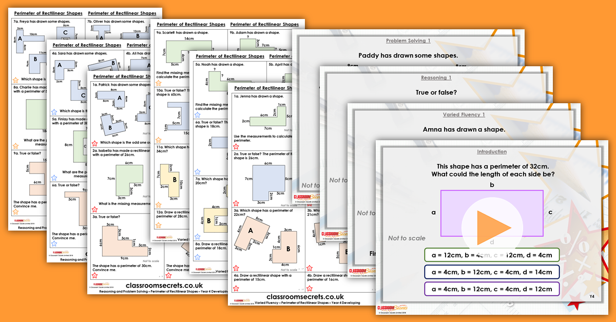 Mixed Age Year 3 and 4 Length Perimeter and Area Step 9 Resources
