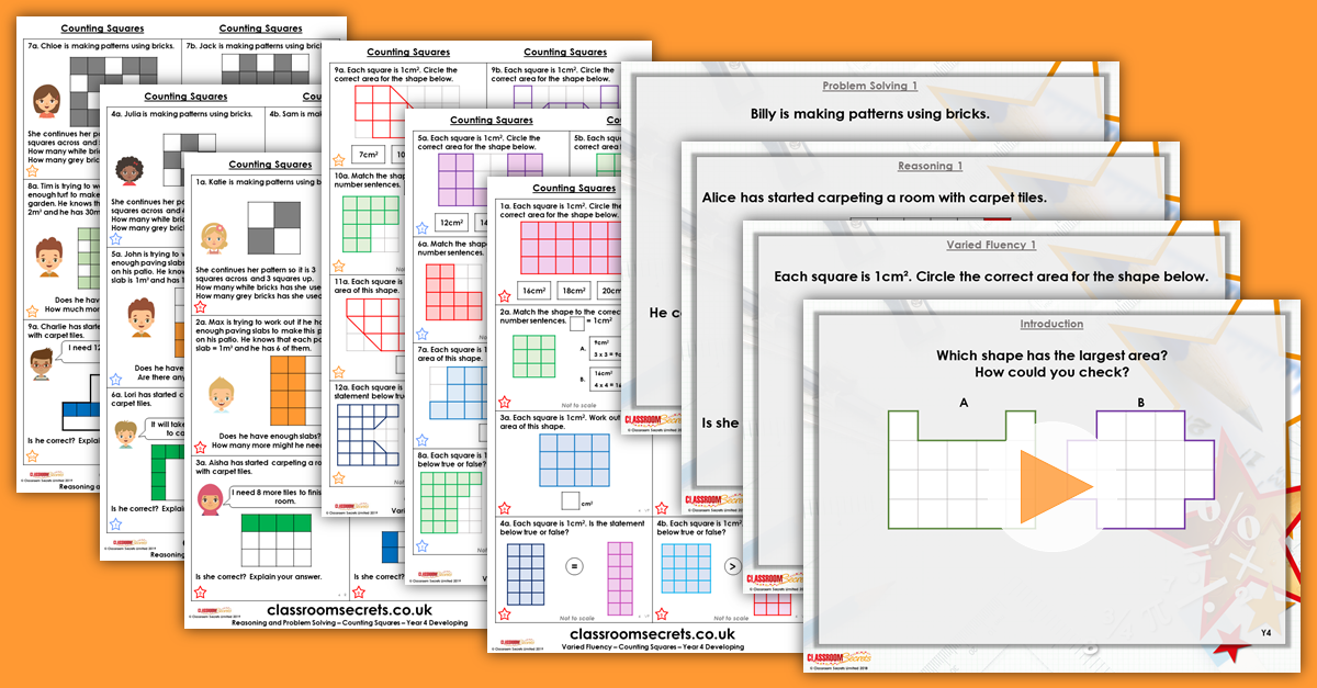 Year 3 and 4 Mixed Age Length Perimeter and Area Step 11 Resources
