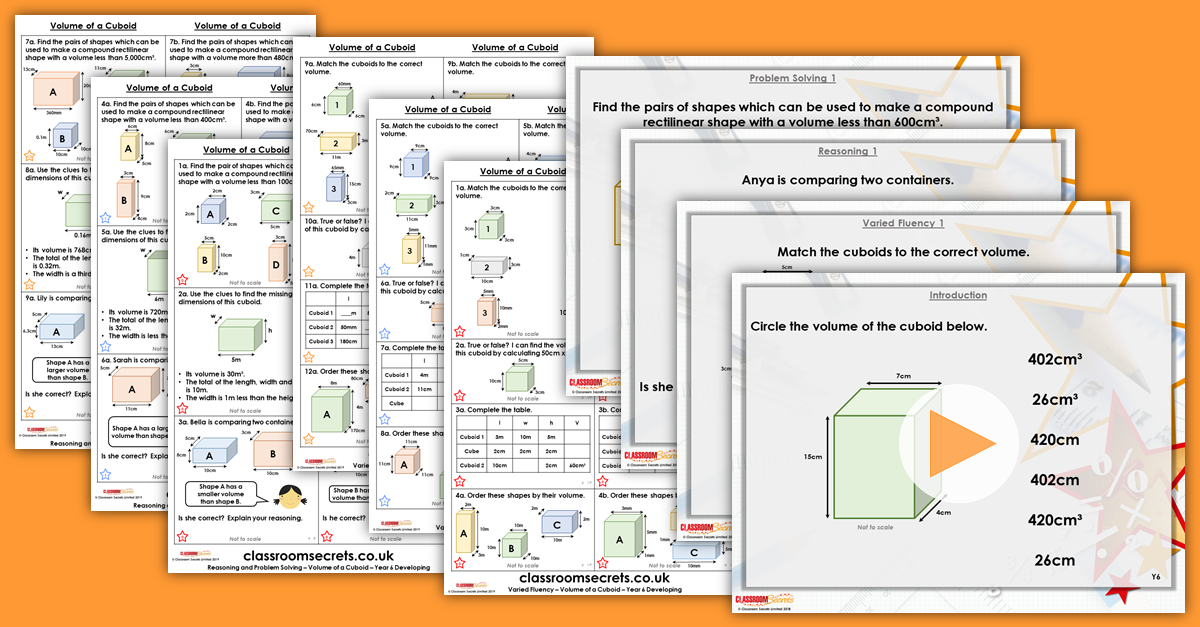 Mixed Age Year 5 and 6 Perimeter and Area Step 10 Resources
