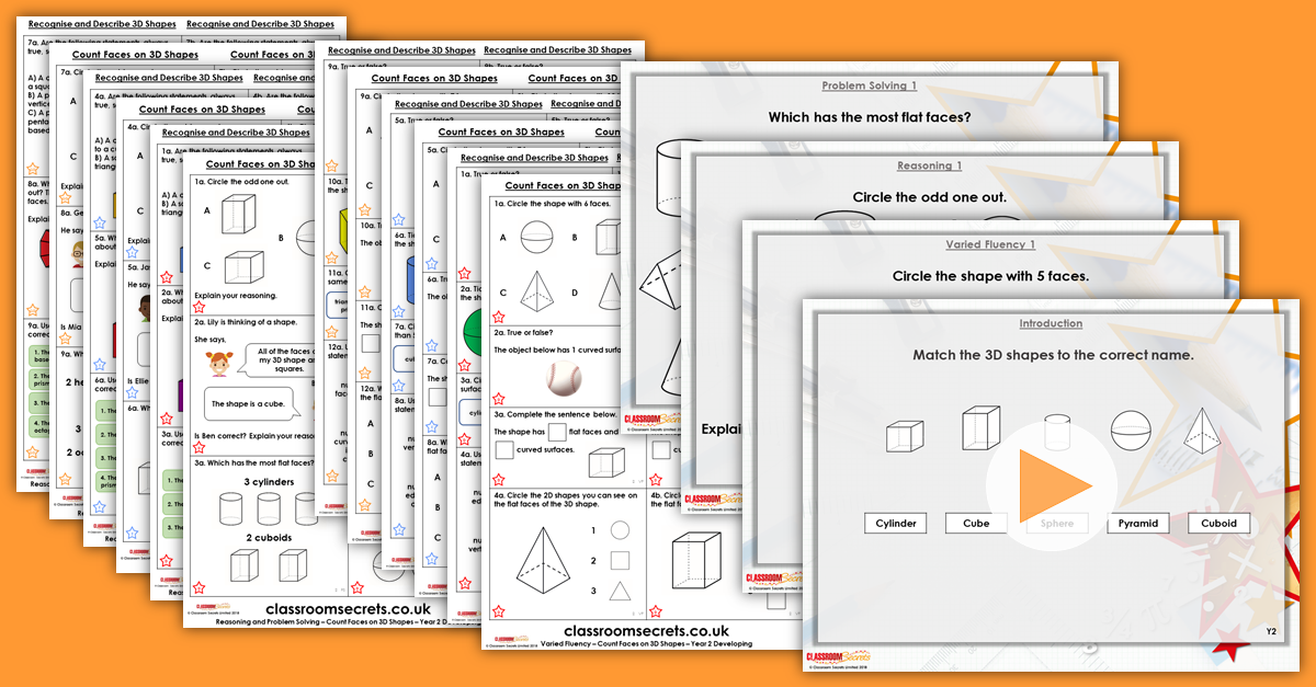 Mixed Age Year 2 and 3 Shape, Position and Direction Step 13 Resources