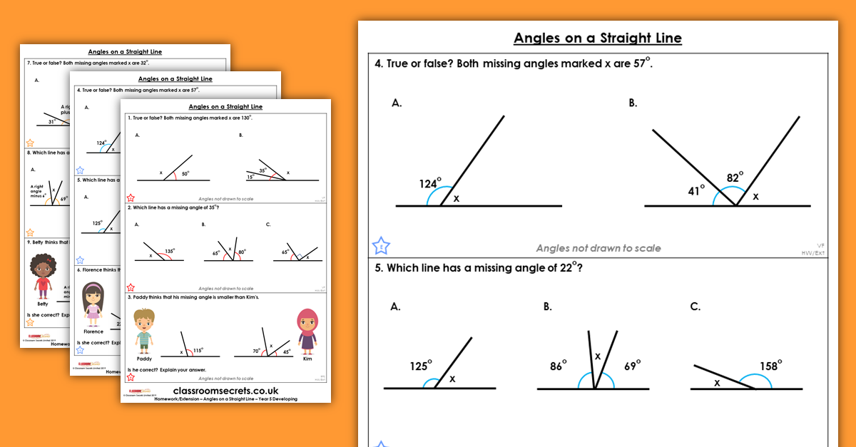 Angles on a Straight Line Homework