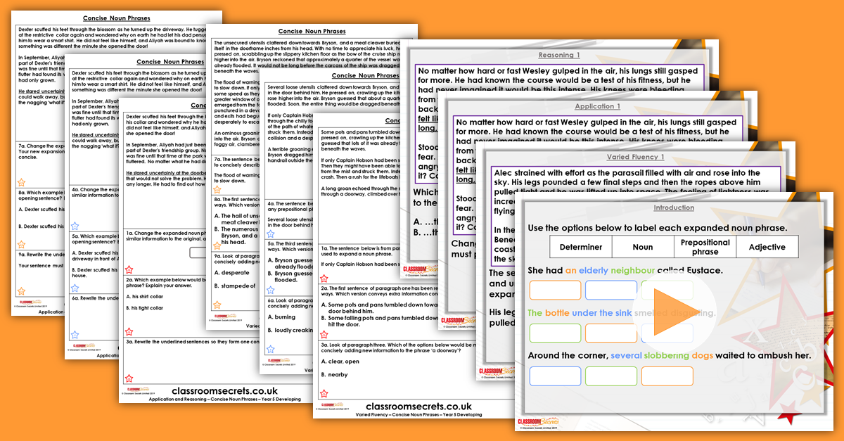 Concise Noun Phrases Year 5 Resource Pack