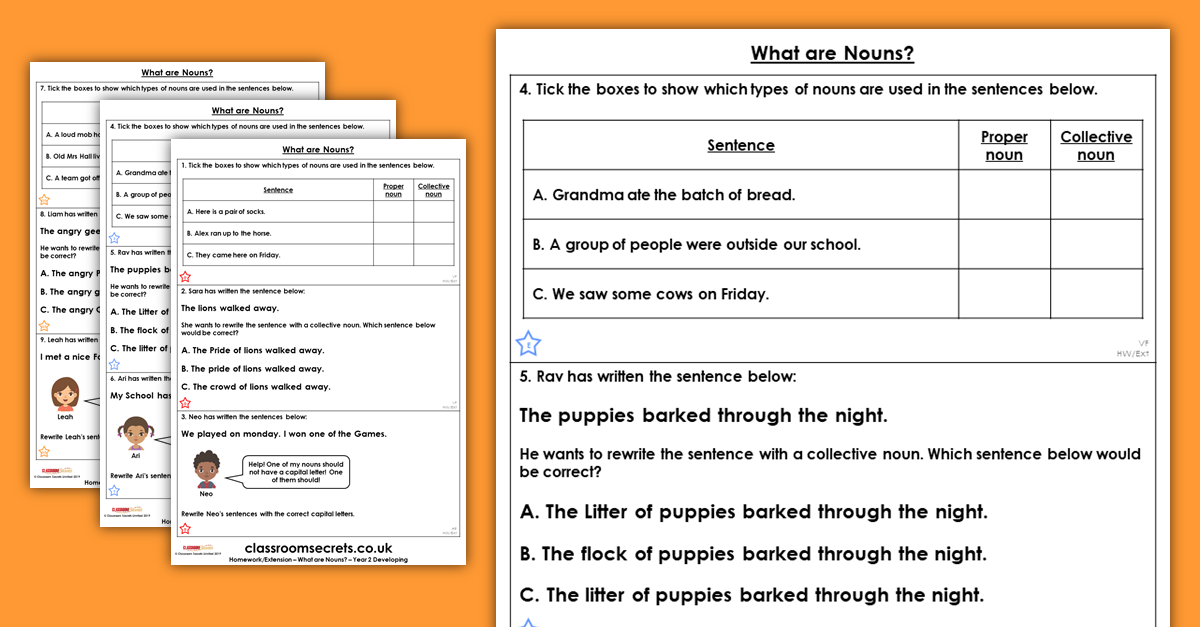 Year 2 What are Nouns? Homework