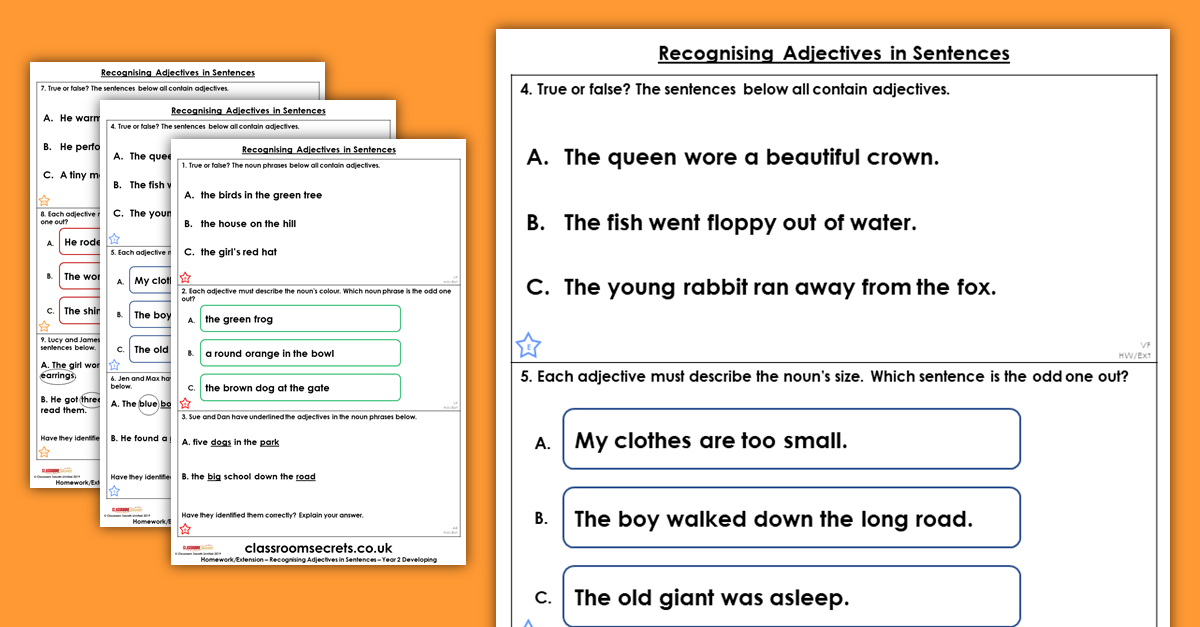 Recognising Adjectives in Sentences Homework