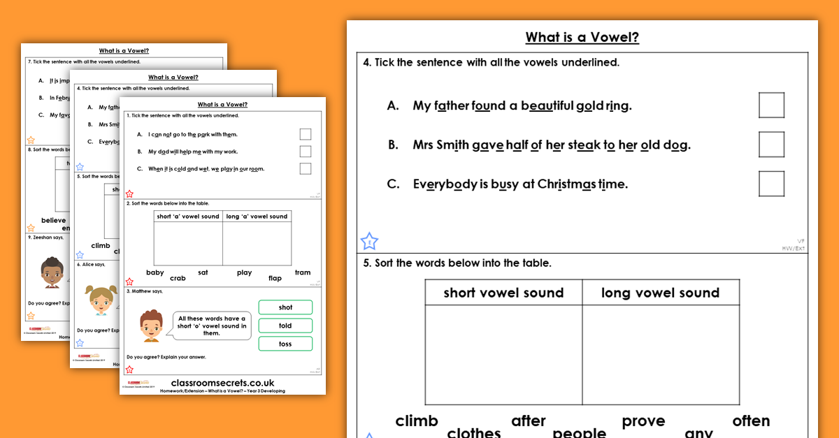 Free Year 3 What is a Vowel? Homework