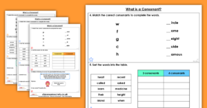 Year 3 What is a Consonant? Homework