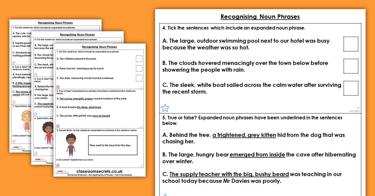 free-year-5-recognising-noun-phrases-homework-expanded-noun-phrases