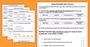 Year 4 Using Expanded Noun Phrases Homework Extension