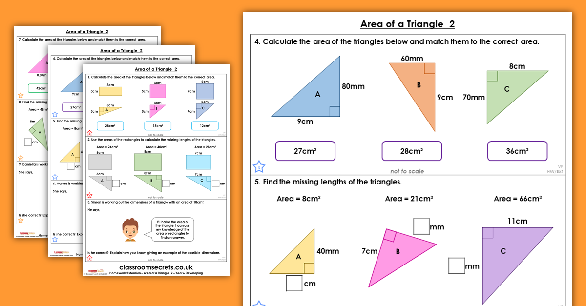 Area of a Triangle 2 Homework