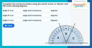 Free Year 6 Measure with a Protractor IWB