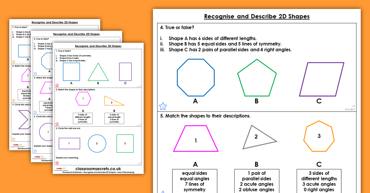 Recognise and Describe 2D Shapes Homework Extension Year 3