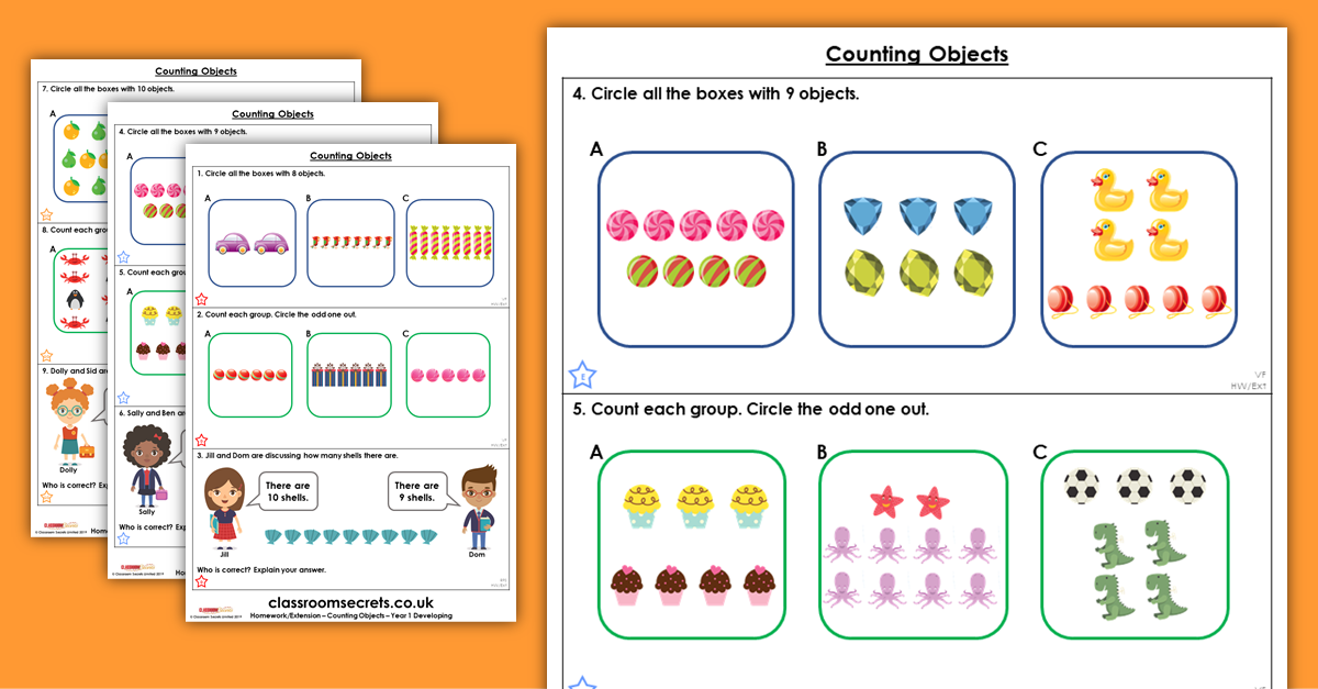 Counting Objects Homework