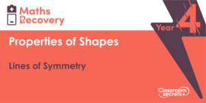 Lines of Symmetry Maths Recovery