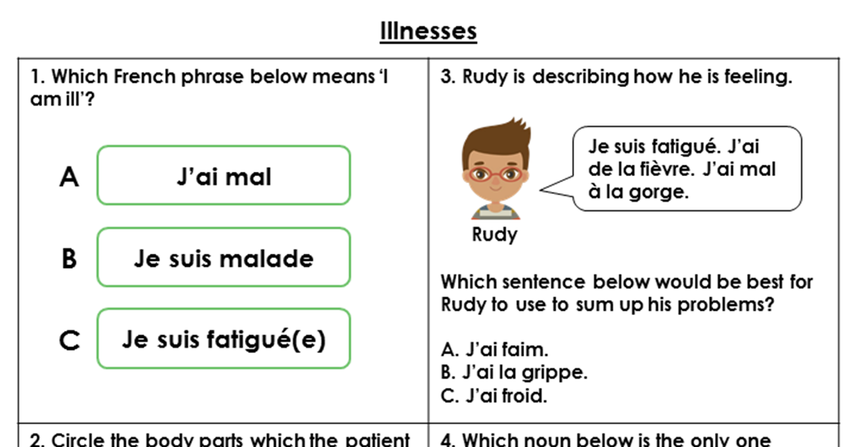 French Illnesses Resource Pack