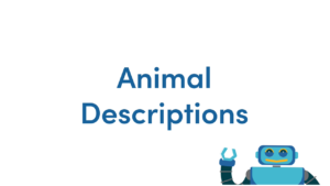 Animal Descriptions French Video