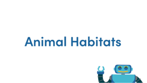 Animal Habitats French Video
