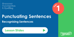 Year 1 Recognising Sentences Lesson Slides