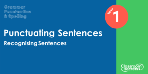 Year 1 Recognising Sentences Lesson
