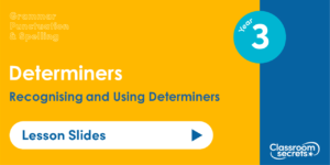 Year 3 Recognising and Using Determiners Lesson Slides