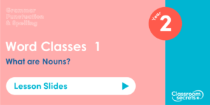 Year 2 What are Nouns? Lesson Slides
