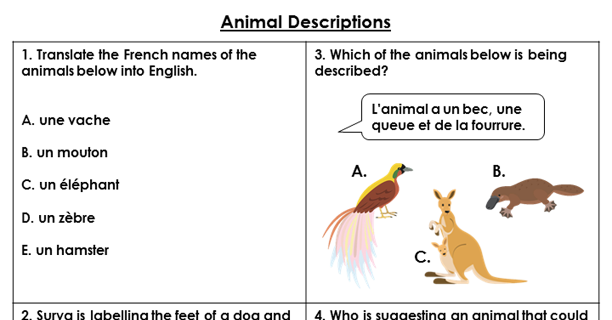Animal Descriptions Resource Pack