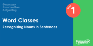 Year 1 Recognising Nouns in Sentences Lesson