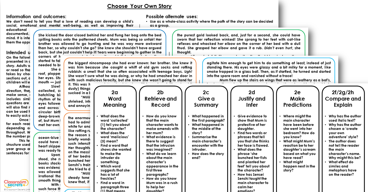 Year 6 Choose Your Own Story Guided Reading Activity