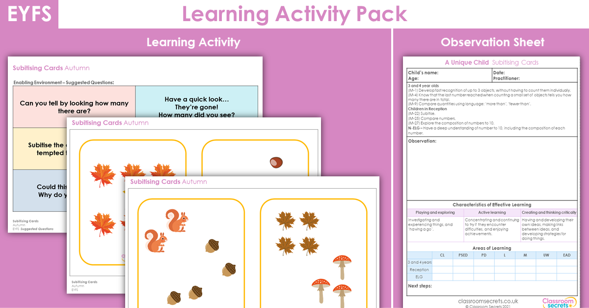 EYFS All About the Number 9 Learning Activity