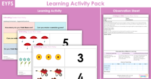 EYFS Guess How Many Learning Activity - Spring