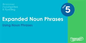 Year 5 Using Noun Phrases Lesson