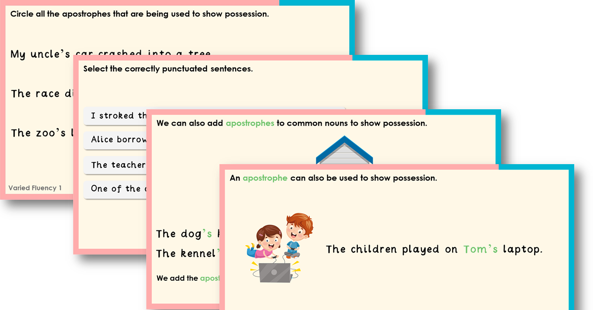 Year 2 Introducing Possession Teaching PowerPoint