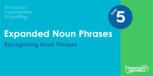 Year 5 Recognising Noun Phrases Lesson
