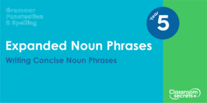 Year 5 Writing Concise Noun Phrases Lesson