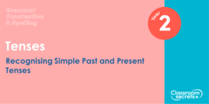 Free Year 2 Recognising Simple Past and Present Tenses Lesson