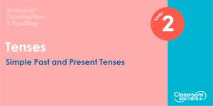 Year 2 Simple Past and Present Tenses Lesson